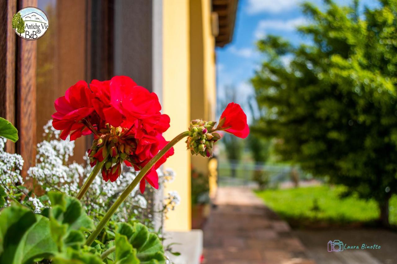 Antiche Vie B&B Serramazzoni Екстериор снимка