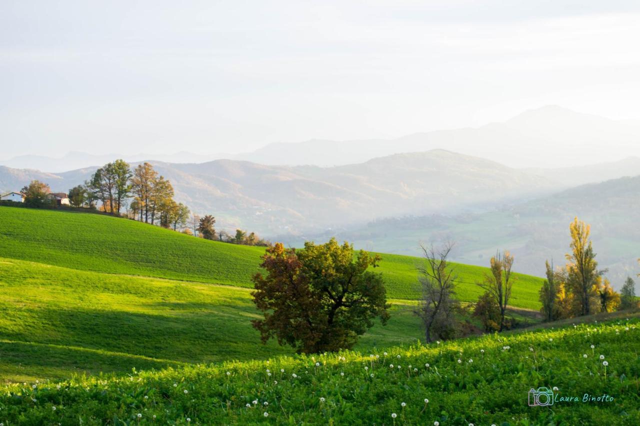 Antiche Vie B&B Serramazzoni Екстериор снимка